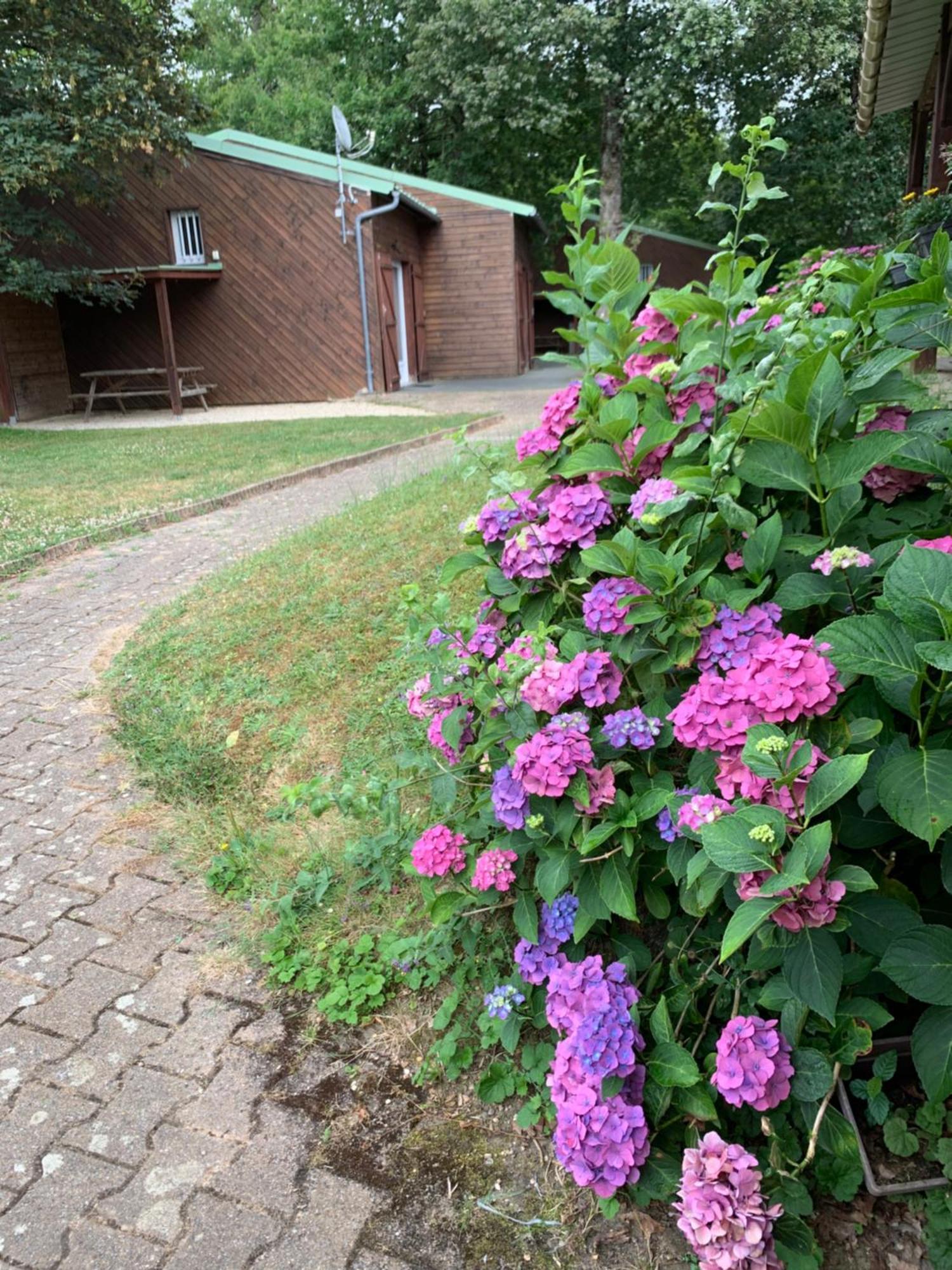 Chalets Mouliere Evasion Montamise Luaran gambar
